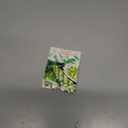 Seeds Brussels Sprouts Long Island/Green Cabbage/Non GMO/Heirloom