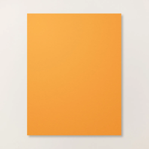 Orange Cardstock | Pumpkin Pie 8-1/2" X 11" Cardstock | Stampin' Up!