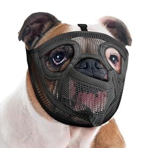 Mayerzon Short Snout Dog Muzzle, French Bulldog Muzzle with Tongue Out Design to Prevent Eating Biting Licking, Mesh Dog Muzzle for Shih Tzu Pug English Bulldog, Breathable Muzzle for Grooming Walking