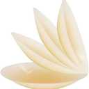 Large Nipple Covers for Women 2 Pairs - Reusable Nipple Pasties Silicone Size A-DD Sticky Adhesive Breast Petals