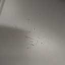 Evolur Barbie Los Altos Wooden Toddler Bed, Blush Pink – Greenguard Gold & BSA Certified – Low-to-Floor Kids Bed for Girls – Fits Standard Crib Mattress