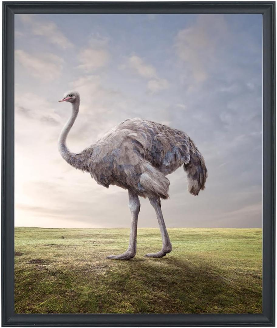 LTYHHK 22x24 Picture Frames Solid Wood 22x24 Photo Frame 22x24Poster Frames 22x24Diamond Painting Frames Black (L23B2224)