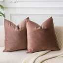 JUSPURBET Throw Pillow Covers Set of 2 Decorative Velvet Pillow Covers for Couch Sofa Bed Soft Cushion Covers Cases with Invisible Zipper for Living Room Home Decor 16x16 inch, Jam