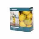 HD Designs Lemon Vase Filler - Yellow