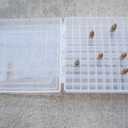 WM 22 lr Ammo Box 100 Round .25 ACP 10/22 .22LR
