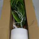 RECUTMS Fake Plants Tall 19In Artificial Tropical Palm Tree Potted with Light Faux Monstera Greenery Plants in White Pot for Indoor Outdoor Home Office Living Room Bedroom Desk Balcony Farmhouse Decor