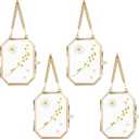 JUXYES 4 Pack Wall Hanging Brass Glass Ornament Frames, Double Glass Brass Tiny Frame for Pressed Flowers, Golden Octagon Metal Floating Frame Ornaments for Picture, Pressed Flower, Poster, Vertical