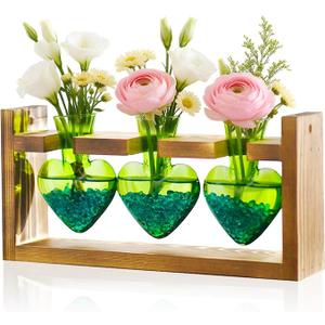 2+1 Plant Terrarium Plant Propagation Station Birthday Gifts for Women Home Office Decor with Wooden Stand