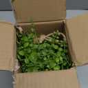 Artificial Hanging Plants Fake Greenery Succulent Potted Plant Ceramic Planter for Home Wall Indoor Outdoor Decor Dischidia Oiantha