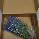 Giegxin 12 Pack Artificial Blue Berry Stems Fake Blueberries Picks, Artificial Flowers Decorative Stickers, Faux Blueberry Accessories for Party Wedding Decoration Home (13.7 Inch)