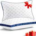 Bed Pillows Queen Size Set of 2, Luxury Hotel Quality Queen Bed Pillows, Fluffy Down Alternative Pillows 2 Pack for Sleeping, Soft Gusseted Pillows for Side, Back or Stomach Sleepers (White-blue)