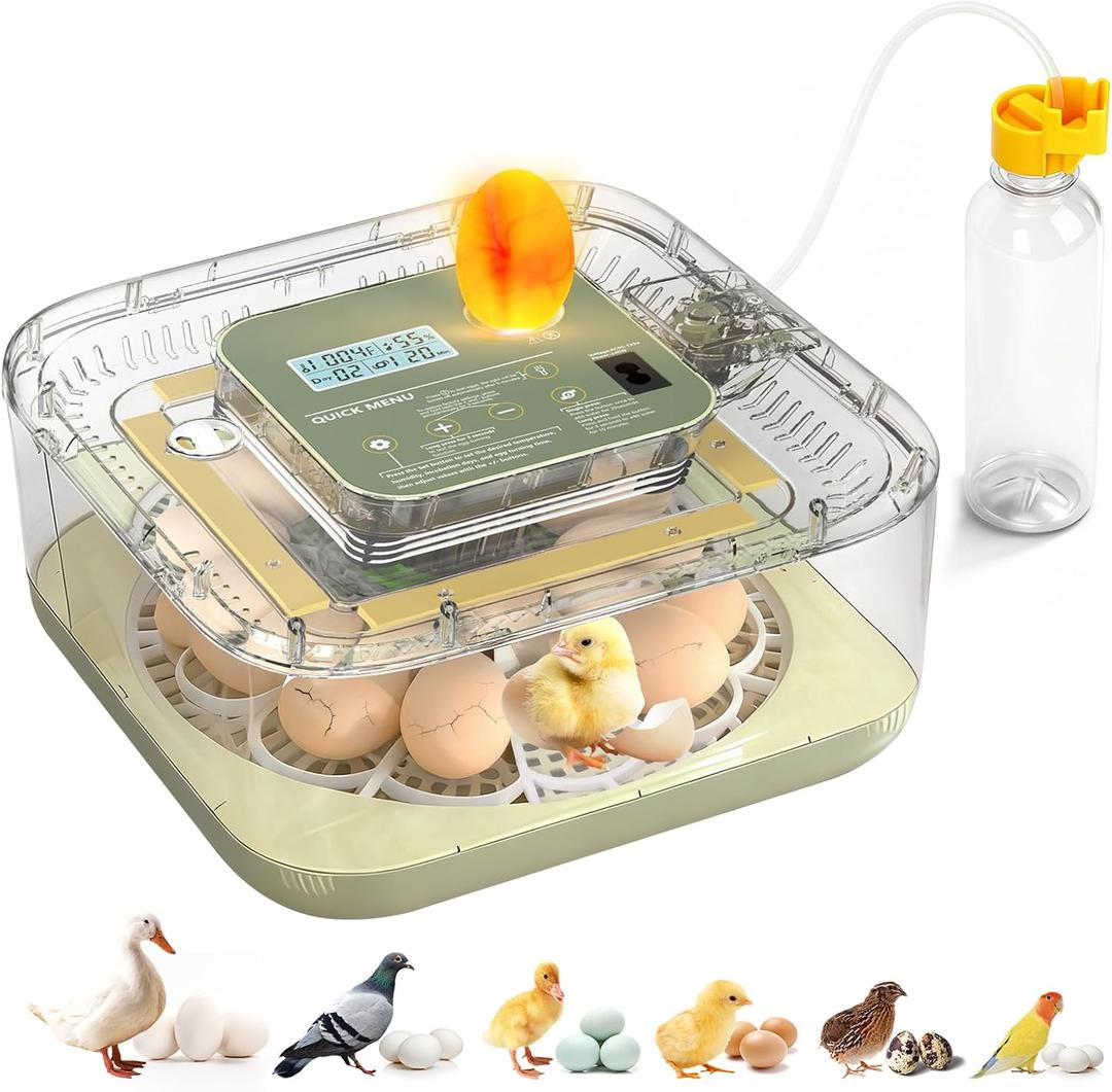 Fully Automatic Egg Incubator for Hatching Eggs, Auto Water Refill & Turner, 12 Egg Capacity (24 Quail), LED Candler, Fahrenheit Display Hatcher for Chickens Ducks Birds, Beginner Friendly
