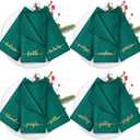 Sliner 12 Pcs Christmas Green Cloth Napkins Set 17 x 17 Inch Embroidered Seasonal Sayings Dinner Fabric Napkins Washable Wishes Grateful Blessed Merry Christmas Napkin for Holiday Kitchen Party