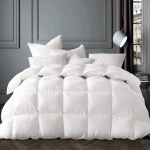 Globon Winter White Goose Down Comforter Queen Size,Down Duvet Insert,800 Fill Power,400 Thread Count Ultra Soft Noiseless Shell with Corner Tabs,White (Queen 90*90in)
