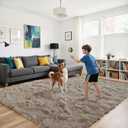 Fluffy Rug Shaggy Area Rug, Beige 2x4 Area Rugs for Bedroom, Small Bedside Rug, Soft Fluffy Shaggy Entryway Throw Rugs for Living Room Bedroom Kids Room Home Decor