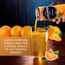 Sanpellegrino Italian Sparkling Drink Aranciata, Sparkling Orange Beverage, 24 Pack Of Cans (EXP 02/05/27)