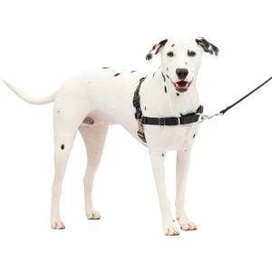 PetSafe Easy Walk Harness for Dogs  PullFree Walks  Patented Martingale Loop Design  Front Chest Leash Attachment  Comfort Straps  Breathable Harness Design  Small/Medium, Black/Silver