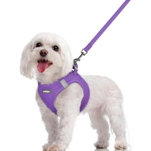 rabbitgoo Dog Harness Small Sized and Leash Set, Step in Soft Light Puppy Vest, Breathable Mesh Pet Harness, Reflective for Safe Outdoor Walking, Purple,M (Chest: 16 - 18.5")
