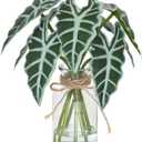 Muhanjia Artificial Flowers Turtle-Back, Alocasia Leaf, in Glass Vase with Faux Water,7Pcs Artificial Leaves Real Touch Latex Leaves for Centerpiece (1, Alocasia Leaf)