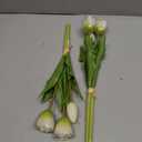 DILATATA 6 Pcs Artificial Tulips Flowers Cream Real Touch Fake Latex Tulips Flowers for Mother's Day 14" Faux Tulips Faux Flowers for Vase Centerpieces Home Wedding Bouquet