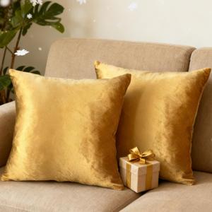 2 Pack 18x18 Pillow Cover Velvet Pillow Covers, Square Throw Pillow Covers for Living Room Decorations Throw Pillow Case, Throw Pillow Cover Cushion Cover for Home Sofa Bedroom Car, Golden