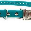 Sparky Pet Co - Apollo ECollar Replacement Strap - Dog Collar - Waterproof Biothane - Adjustable - Double Buckle - Quick Snap Metal Clasp - for Invisible Fence Systems - 1" x 30"(Teal)