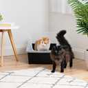 IRIS USA Cat Litter Box XX-Large Open Top with High Sided Walls Tall Scatter Shield Scoop Included Easy Clean Plastic Pan for Big Cats Kittens Multi-Cat Households 30"L x 20"W x 14"H Black