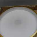 12 Inch Gold LED Ceiling Light, 5000K Daylight White, 24W Gold Flush Mount Ceiling Light, 3200LM Round Low Profile Ceiling Lights for Bedroom Kitchen Hallway Entryway