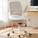 NEO CHAIR Office Computer Chair Ergonomic Mesh Back Flip-Up Arms, Beige, 23 inches x 22 inches x 41 inches