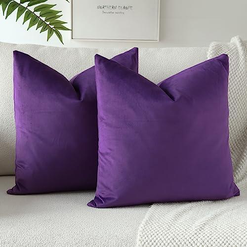 OTOSTAR Velvet Soft Decorative Throw Pillow Covers Solid Square Cushion Case Home Decor Pillow Covers for Couch Sofa Living Room Bedroom Decorative Pillowcases Set of 2 (Purple)