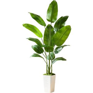 Bird of Paradise Artificial Plant, 6FT Faux Plants Indoor Banana Leaf Tree with 10 Leaves, Large Fake Tropical Potted Indoor Silk Floor Plant with White Tall Planter for House,Office,Room,Home Decor
