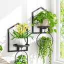 iDavosic.ly Wall Plant Picture Frame Holder Set of 2 for Indoor, Metal Stand with Hanging Hooks, Floating Flower Display Home Decor, Space Saving & Easy to Assemble (Pots/Chains/Plants Not Included) (House - 2 Pack, Black)