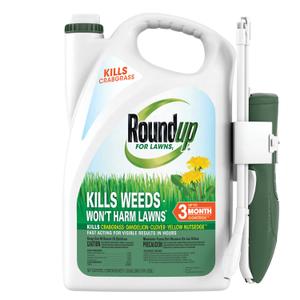Roundup for Lawns Ready-to-Use with Extend Wand, Tough Weed Killer for Use on Northern Grasses, 1.33 gal.