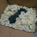 Auihiay 64pcs Silk Hydrangea Artificial Flowers, Champagne Artificial Hydrangea Flowers with Stems, Full Hydrangea Flowers for Wedding Centerpieces, Home, Garden, Party Decoration (Champagne)