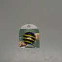 Acoustix 6foot Braided Auxiliary Audio Cable + popsockets Phone Holder