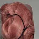 LANICE Short Bob Pink Wigs with Bangs for Women Loose Wavy Hair Shoulder Length Wigs Synthetic Colorful Wigs for Cosplay Daily PartyUse(Pink,12inch)