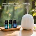 Essential Oil Set, Blended Essential Oils for Diffusers for Home Candle & Soap Making, Scented Voyage with Six Scents for Aromatherapy & Humidifiers, 6 x 10ml
