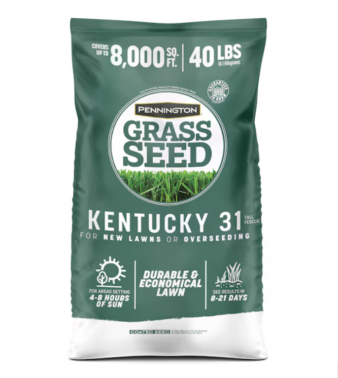 Pennington Kentucky 31 40-lb Tall Fescue Grass Seed