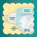 Pampers Baby Diapers - Swaddlers - Size 7, 44 Count, Ultra Absorbent Disposable Infant Diaper