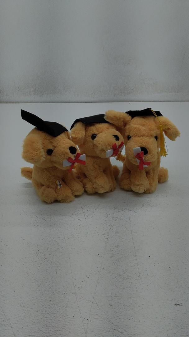 Graduation Puppies With Cap and Diploma 10", Pack of 3