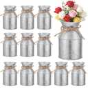 11 Pcs Farmhouse Metal Flower Vase Decor, 5.3 Inch Galvanized Milk Can Jug Vase with Twine Bow Rustic Flower Buckets for Centerpieces Floral Display Table Home Wedding Festival DIY Decorations
