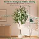 6FT Faux Olive Tree with Decorative Planter, Olive Trees Artificial Indoor with Textured Trunk, Silk Leaves and Olive Fruits, Fake Plants for Living Room, Entryway and Office Decor