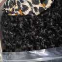 quickwig Curly Half Wig Water Wave Glueless Wigs 3 In 1 Seamless Short Half Wigs for Black Women Kinky Curly Half Wig Wear and Go Beginner Friendly Synthetic Headband Wig 16 Inch Black Color