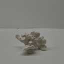 White Coral Statue - Faux Coral Decor Resin Sea Reef Sculpture Tabletop Decoration for Home and Coastal Living