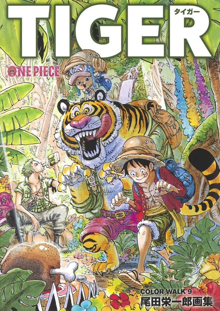 ONEPIECE COLORWALK Vol.9 TIGER Illustration Collection Art Book [Softcover Japanese Edition]
