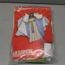 Morph Cleopatra Costume Kids, Egyptian Costume Kids, Cleopatra Costumes for Girls, Egyptian Costumes Girls (Large)