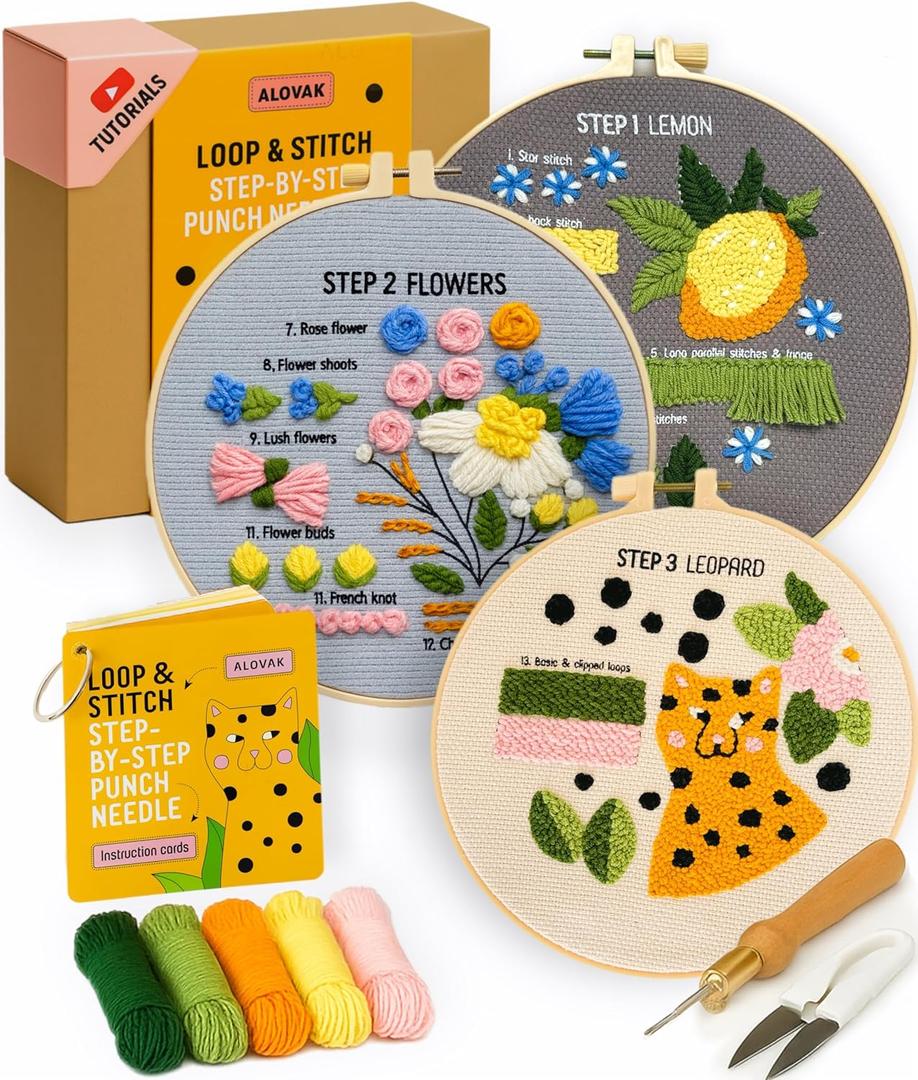 3-Step Punch Needle Kit for Beginners  Learn 14 Stitches with DIY Kit, Needlepoint Instructions & Practice Patterns, Embroidery Art & Craft Project for Adults with Video Tutorial