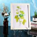 HESTYA 2 Pcs 9.8" Acrylic Easels, Plate Stands Photo Picture Frame Holders for Weddings, Birthdays, Home Decor & Table Display(Clear)