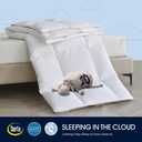 Serta White Goose Feather Down Bed Mattress Topper Full Size - Plush Fluffy Anchor Bands Mattress Pad 240 Thread Count 100% Cotton Fabric Featherbed, 54"x75"