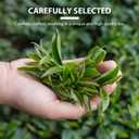 Soeos Organic Oolong Tea, 100 Tea Bags, Low Caffeine, Hot and Cold Brew, Fresh and Healthy Oolong Tea, 6.3 Ounce